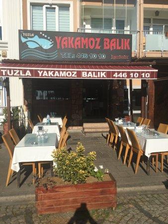 Tuzla Yakamoz BalIk